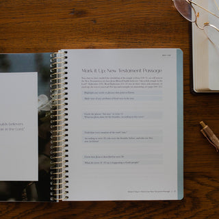 Christ in All of Scripture | Volume 3: Job–Isaiah