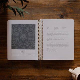 A Year in the Bible | Volume 4: Matthew–Revelation