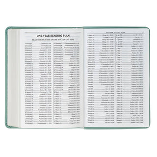 KJV Bible Compact Faux Leather,  Teal