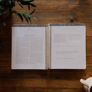 A Year in the Bible | Volume 4: Matthew–Revelation