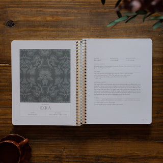 A Year in the Bible | Volume 2: 1 Kings–Psalms