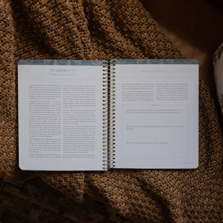 A Year in the Bible | Volume 1: Genesis–2 Samuel