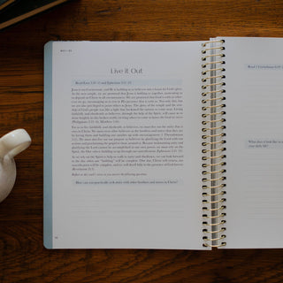 Christ in All of Scripture | Volume 3: Job–Isaiah