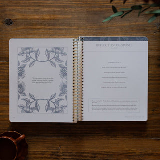 A Year in the Bible | Volume 2: 1 Kings–Psalms