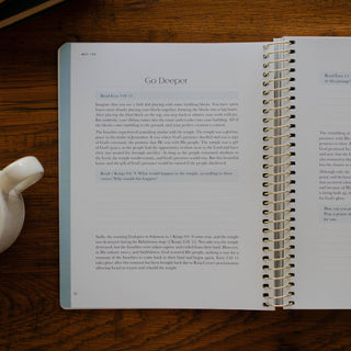 Christ in All of Scripture | Volume 3: Job–Isaiah