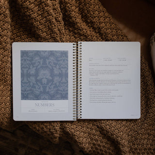 A Year in the Bible | Volume 1: Genesis–2 Samuel