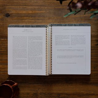 A Year in the Bible | Volume 2: 1 Kings–Psalms