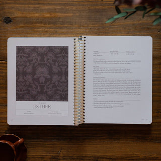 A Year in the Bible | Volume 2: 1 Kings–Psalms