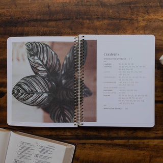 Eden to Eternity | The Chronological Story of Scripture