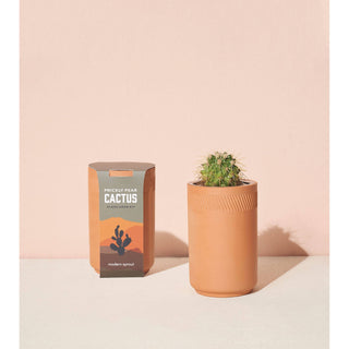 Terracotta Kit - Cactus