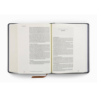 ESV Single Column Journaling Bible®, Artist Series, Joshua