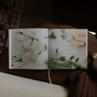 Satisfied | A 60-Day Devotional on Contentment