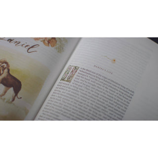 ESV GraceLaced Bible, Artwork by Ruth Chou Simons, TruTone®