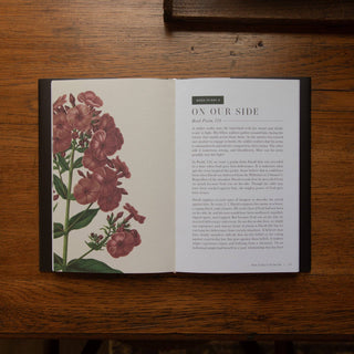 The Psalms Volume 3 | Hardcover Bible Study