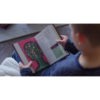 ESV The Biggest Story Holy Bible for Kids | Hardcover