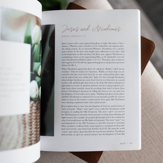 40 Days with Jesus | A 7-Week Study on the Life of Christ