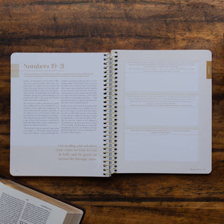 Eden to Eternity | The Chronological Story of Scripture