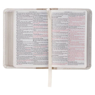 KJV Bible Mini Pocket | Faux Leather | White & Taupe | CG-02