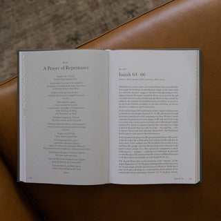 A Year in the Bible | Men's Volume 3 Bible Study