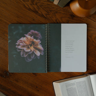 Chosen | A Study on the Book of Ephesians