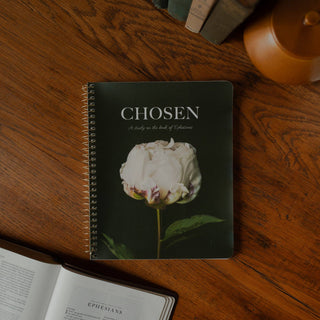 Chosen | A Study on the Book of Ephesians