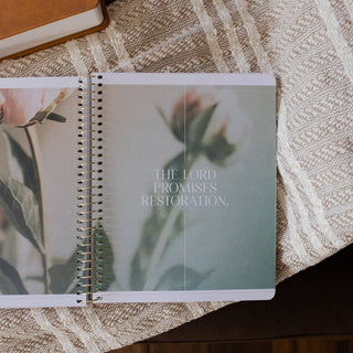 Eden to Eternity | Spiral Volume 3 Bible Study