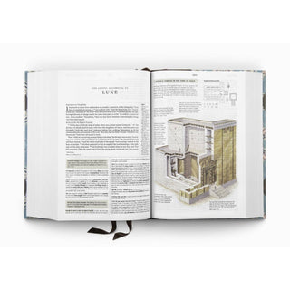 ESV Study Bible®, Artist Series, Interlude
