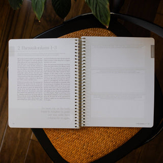 Eden to Eternity | Spiral Volume 4 Bible Study