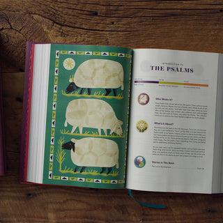 ESV The Biggest Story Holy Bible for Kids | Hardcover