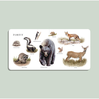 Our Big Board Book of Animals | 100+ Foundational Words