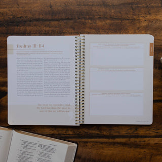 Eden to Eternity | The Chronological Story of Scripture