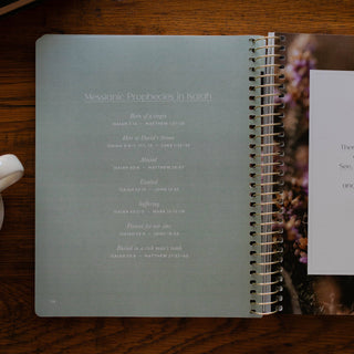 Christ in All of Scripture | Volume 3: Job–Isaiah