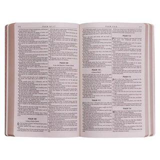 KJV Gift & Award Bible | Faux Leather | Tan | CG-06