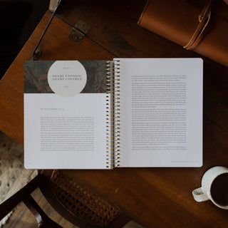 Genesis Spiral Bible Study