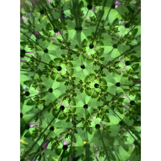 Huckleberry DIY Kaleidoscope