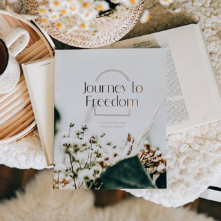 Journey to Freedom | The Life of Moses