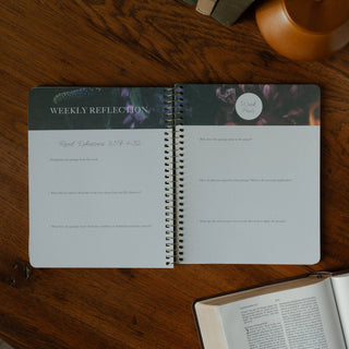 Chosen | A Study on the Book of Ephesians