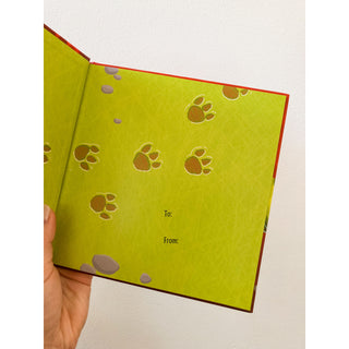 Kids Books - How to Catch a Dinosaur