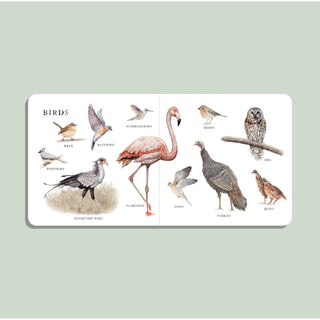 Our Big Board Book of Animals | 100+ Foundational Words