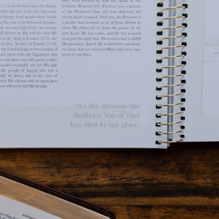 Eden to Eternity | The Chronological Story of Scripture