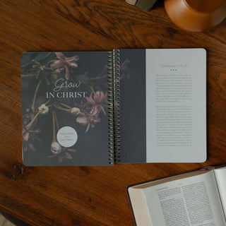 Chosen | A Study on the Book of Ephesians