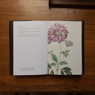 The Psalms Hardcover Bible Study | Volume 2