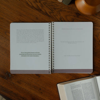 Chosen | A Study on the Book of Ephesians