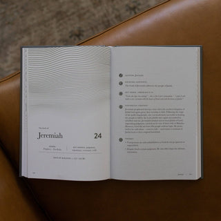 A Year in the Bible | Men's Volume 3 Bible Study