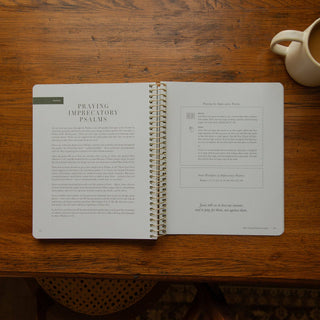 The Psalms Spiral Bible Study | Volume 2