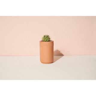 Terracotta Kit - Cactus