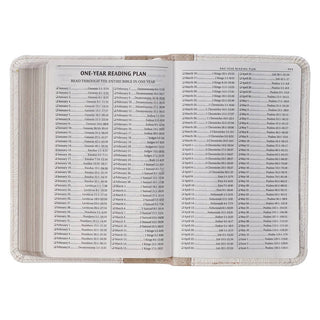 KJV Bible Mini Pocket | Faux Leather | White & Taupe | CG-02