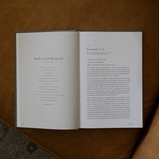 A Year in the Bible | Men's Volume 1 Bible Study