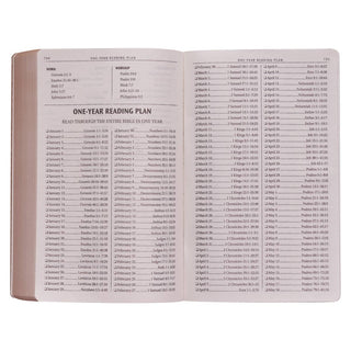 KJV Gift & Award Bible | Faux Leather | Tan | CG-06