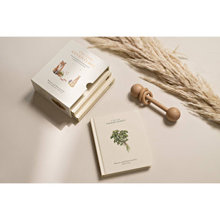 Our Little Adventures Board Book Box Set for Kids
